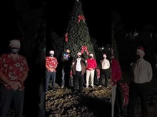 Virtual Christmas Tree Lighting