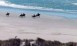 horse riding on beach